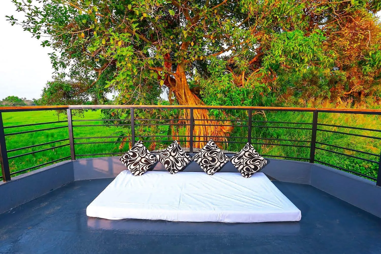 Kerala Boathouse Hotel Alappuzha